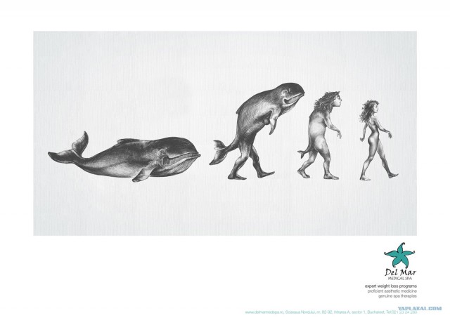 Наблюдаемая эволюция