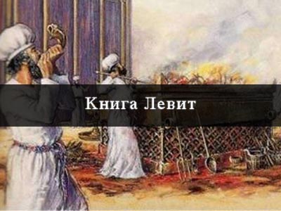 Размышления о книге Левит