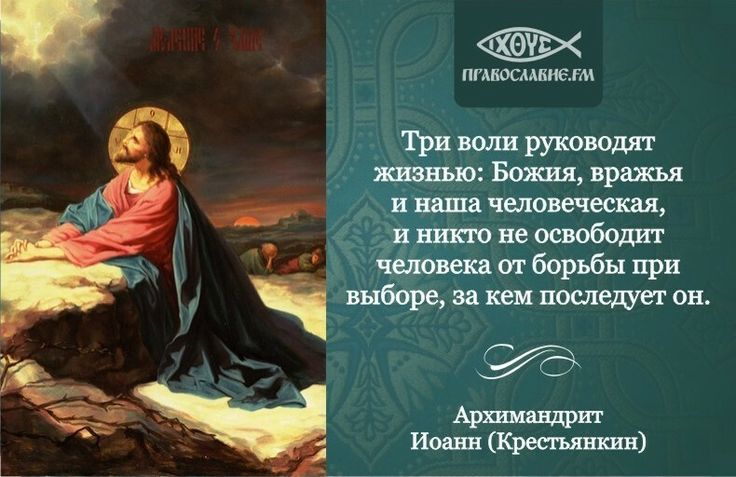 Детское своеволие