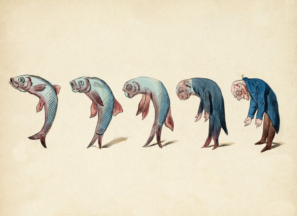 Когда остановилась эволюция рыб?