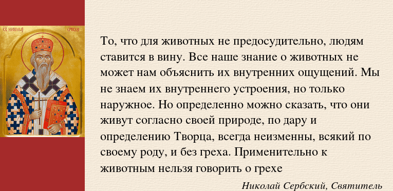 Животные в Библии