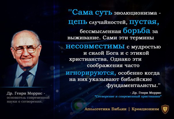 Камни и кости