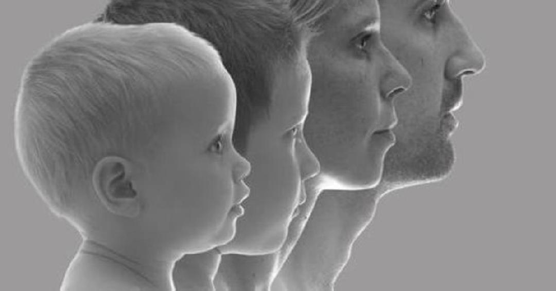 Размышления об иерархии в семье