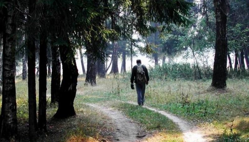 Притча о долготерпении Божьем