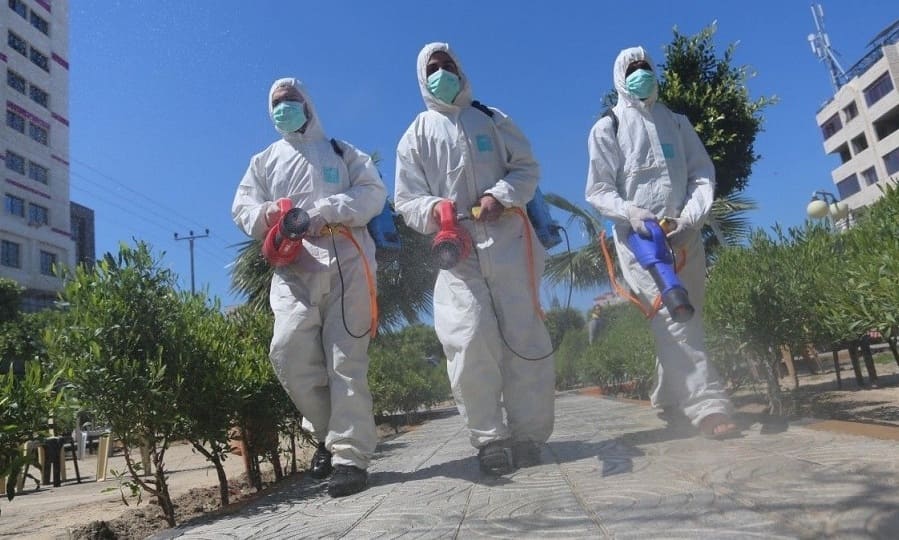 У всех на слуху коронавирус