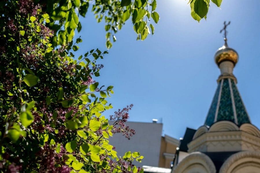 Полюбить пост