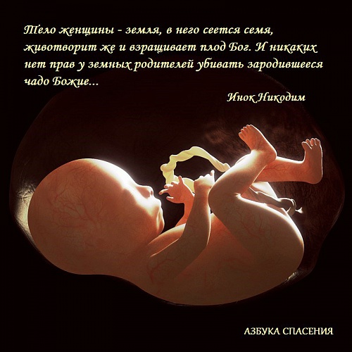 Рассказы психологов