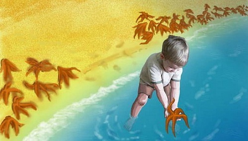 Притча: мальчик и морские звёзды