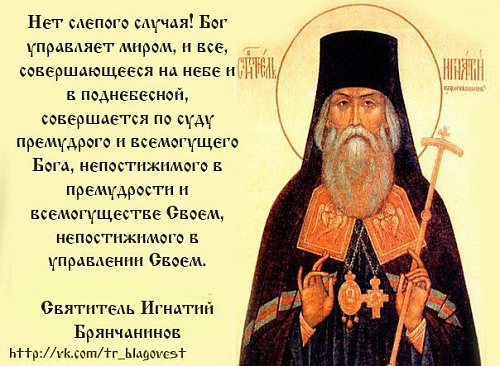 Телеологический аргумент