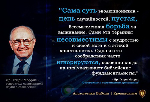Камни и кости