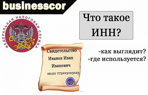 Анализ вопросов, связанных с ИНН