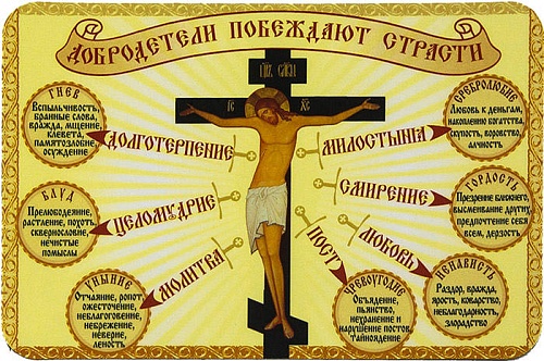 Общие сведения