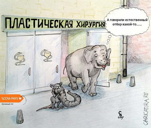 Нужны ли для естественного отбора тысячи лет? 2