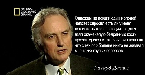 Анатомия и эмбриология не могут доказать дарвинизм